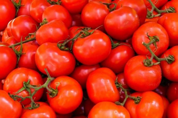 مهنيون: "خروقات واختلالات" تساهم في غلاء الطماطم داخليا